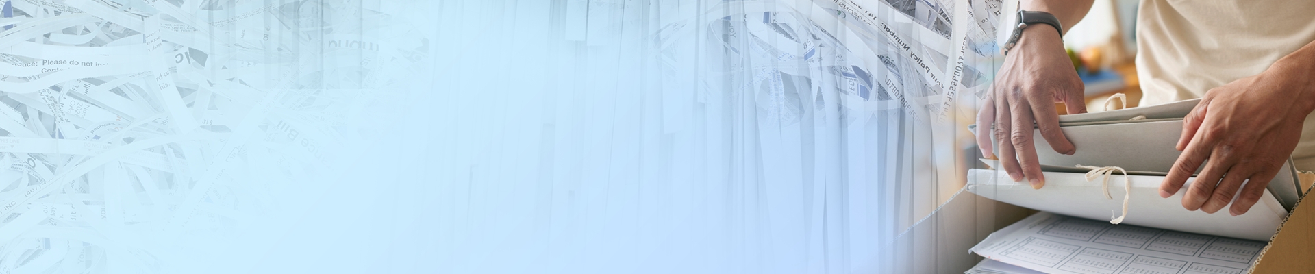 hidden-image